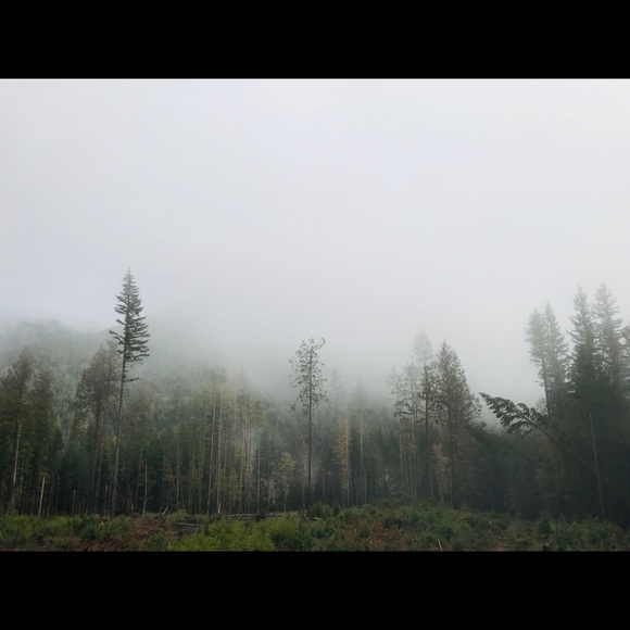 Meet the Posher - Picture 3 of 4